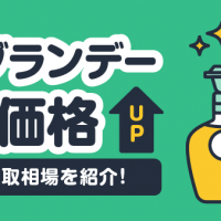古いブランデー買取価格UP 方法や買取相場を紹介！
